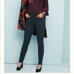 Pilcro Anthropologie High Rise Skinny Jeans sz 27